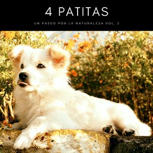 Proyección Astral De Mascotas