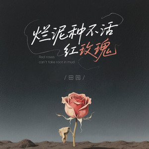 烂泥种不活红玫瑰