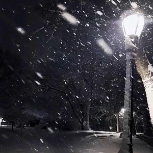 逆向雪花难同枝