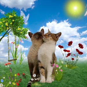 Eu Quero Q Vc Me Espere