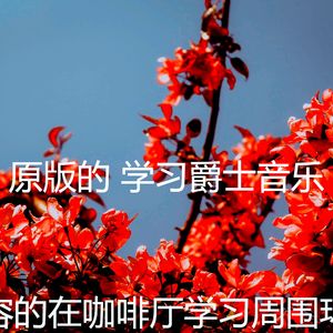 一尘不染深夜学习印象数