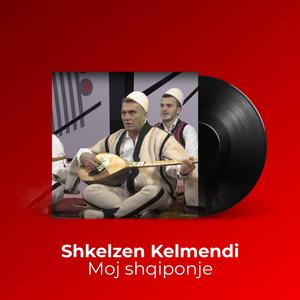 Moj shqiponje