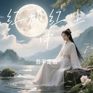 红颜红尘中  (Remix)