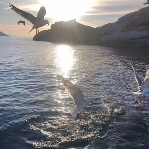 Yêu 5 (Tuanxeo Mix)