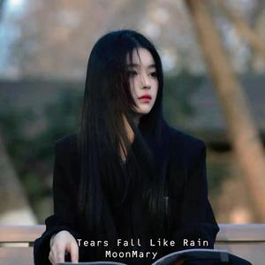 Chasing A Vanished Love