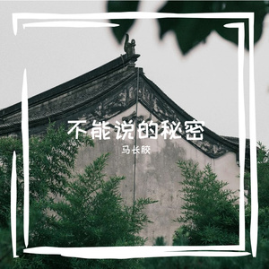 不能说的秘密