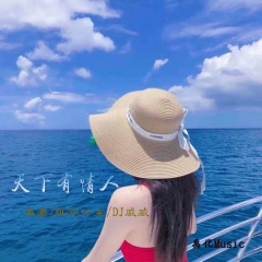 我从草原来 (DJ版)