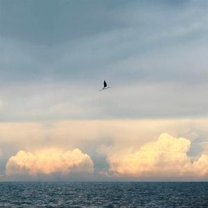 นกน้อย (noknoi) (From ข้างบ้าน)