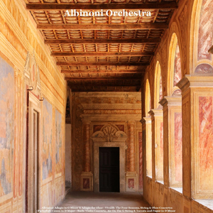 Concerto Alla Rustica for Strings and Basso Continuo in G Major, Rv 151: II. Adagio