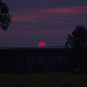 星星失眠（完整版）（翻自 哈利）