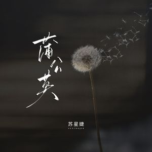 蒲公英（校园广播版）
