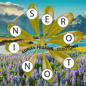 Serotonin