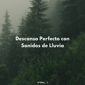 Tiempo Para Relajarse Con Sonidos De Lluvia