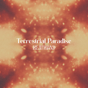 Afternoon Birdsong (Nature)