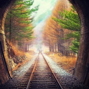 飞到你身边（卜乐乐原创音乐）