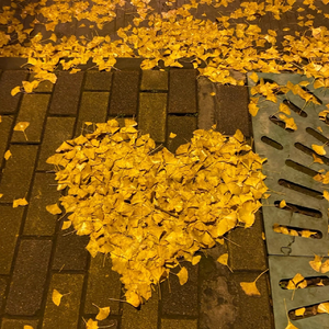 博一波-有多少爱可以重来