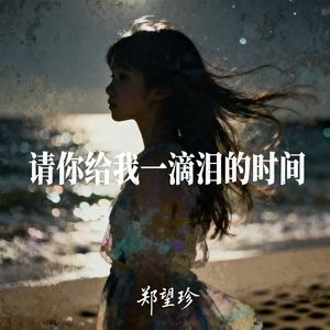 请你给我一滴泪的时间