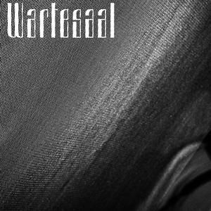 Wartesaal (feat. Franziska Pietsch)