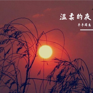 温柔的夜