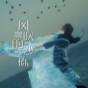 风吹的沙砾 (男版)