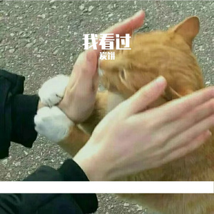 我看过