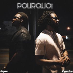 POURQUOI
