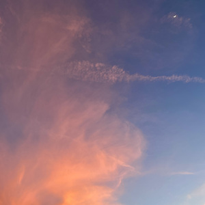 Dusky