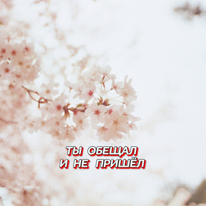 ТЫ ОБЕЩАЛ И НЕ ПРИШЁЛ