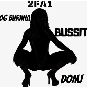 Bussit