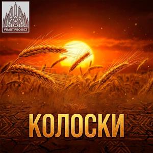 Колоски