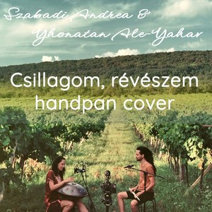 Csillagom, révészem (handpan cover)