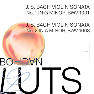 Violin Sonata No. 2 in A Minor, BWV 1003: III. Andante