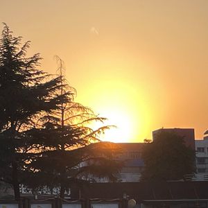 论文真的需要勇气(翻自 梁静茹)