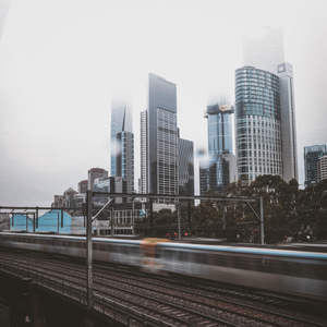City Jungle