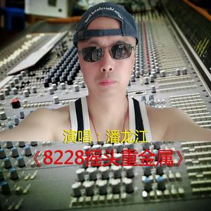 8228摇头重金属