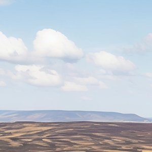 你到底爱我什么