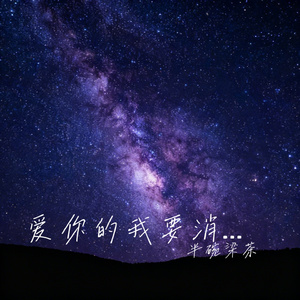 爱你的我要消失了