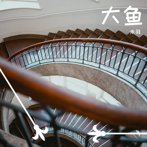 周深-大鱼（未羽 remix）