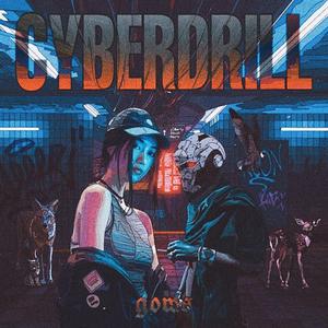 Cyberdrill