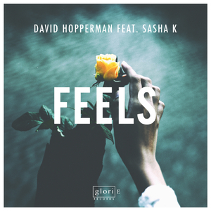 Feels feat. Sasha K (Original Mix)