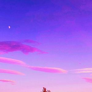 [FREE]‘距离'-R&b Type Beat