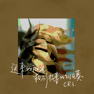 迟来的阳光救不了枯萎的向日葵