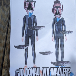 Jo Donau, Wo Waller?
