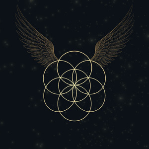 555 - The Alchemist