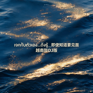 เจอกับตัวเอง...ถึงรู้_即使知道要见面 越南鼓DJ版