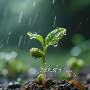 Seeds Beneath the Rain