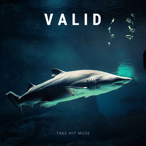 Valid
