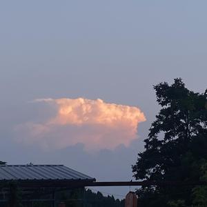 男孩（cover梁博）-木南