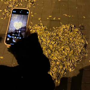 年轮『降调低音版』