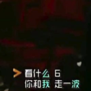 羽毛demo